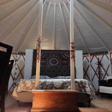 Yurt, romântico e luxuoso, natureza e cachoeiras Jacutinga Exterior foto